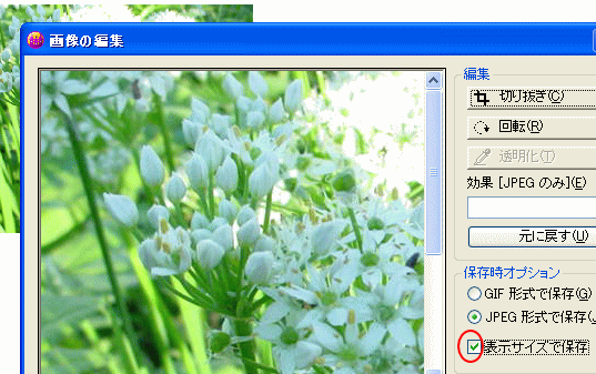 画像の編集 表示サイズで保存