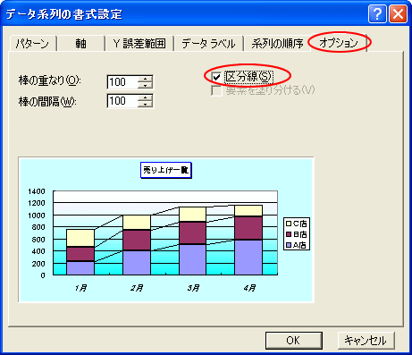データ系列の書式設定 オプション
