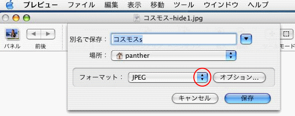 書き出し