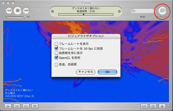 ビジュアルライザ-オプション