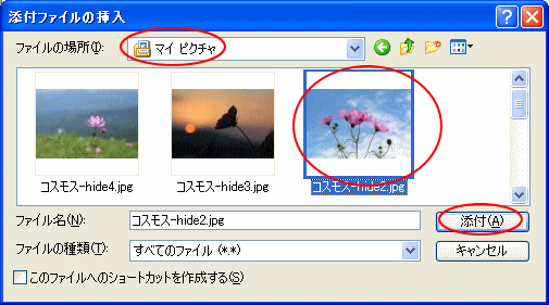 添付ファイルの挿入
