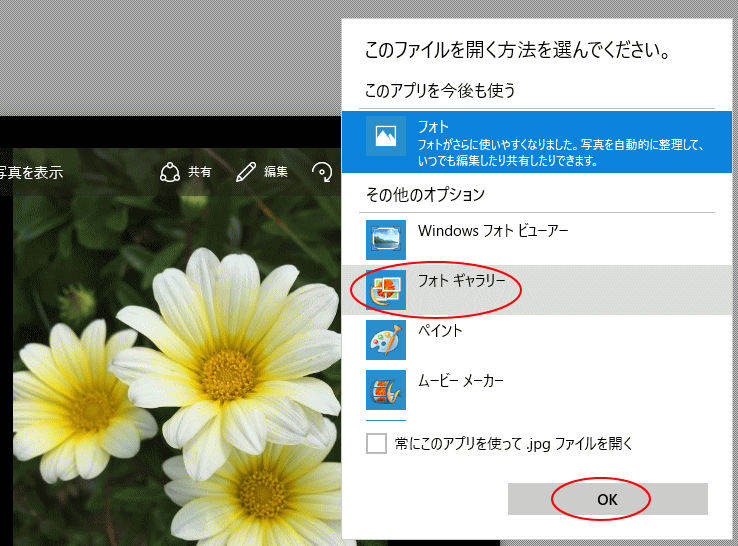 フォトギャラリーを選択