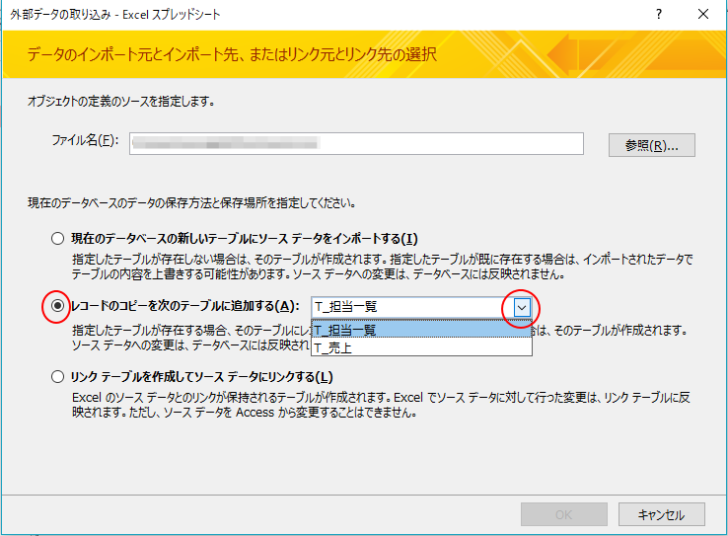 外部データの取り込み-［レコードのコピーを次のテーブルに追加する］