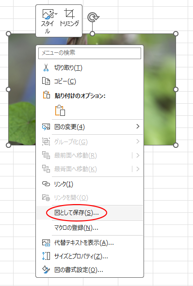 Excel2021のショートカットメニュー［図として保存］