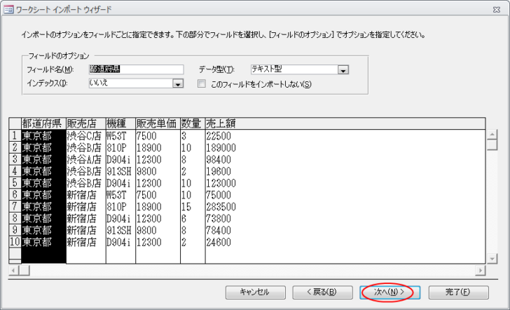 ［インポートのオプションをフィールドごとに指定できます。］の画面