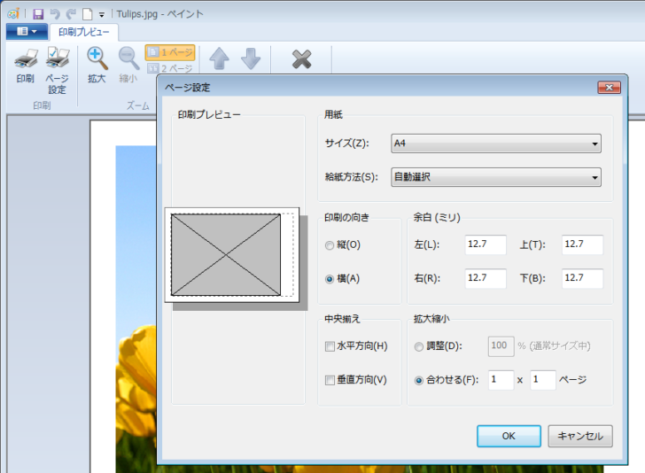 印刷プレビューから［ページ設定］を起動