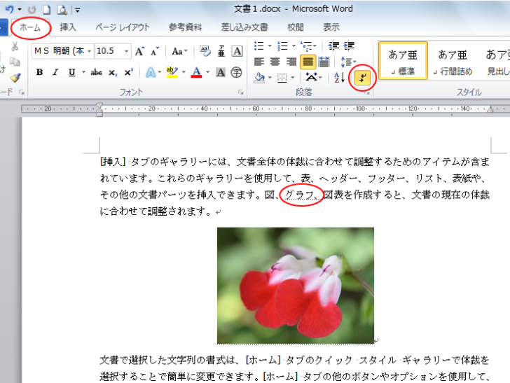 ［編集記号の表示/非表示］をオンにした時の文書