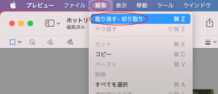 ［編集］メニューの［取り消す-切り取り］