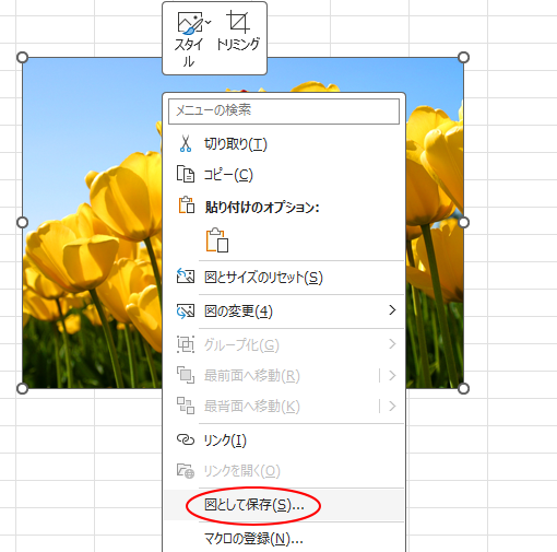 Excel2021のショートカットメニュー［図として保存］