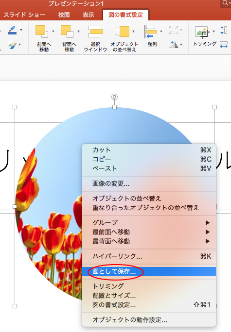 挿入した写真を図形に合わせてトリミングして保存 Mac Office For Mac 初心者のためのoffice講座