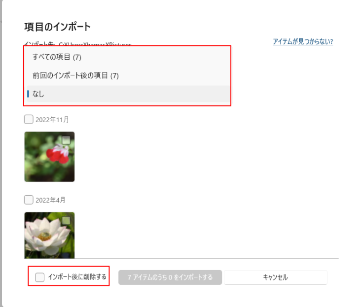 ［項目のインポート］の選択肢と［インポート後に削除する］項目