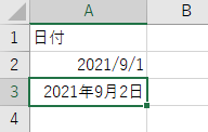 年、月、日が表示された日付形式