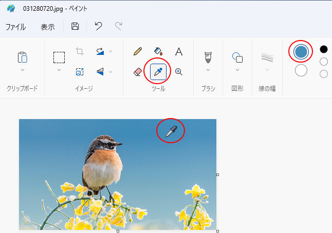Windows 11のペイントの［カラーピッカー］で写真の色を取得