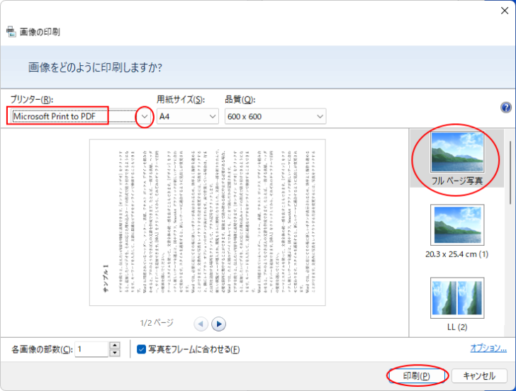 ［画像の印刷］ダイアログボックスの［プリンター］-［Microsoft Print To PDF］