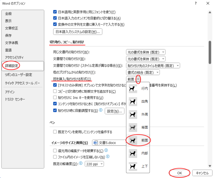 ［オプション］ダイアログボックスの［詳細設定］-［図を挿入/貼り付ける形式］