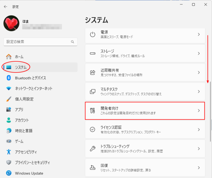 Windows［設定］の［システム］にある［開発者向け］