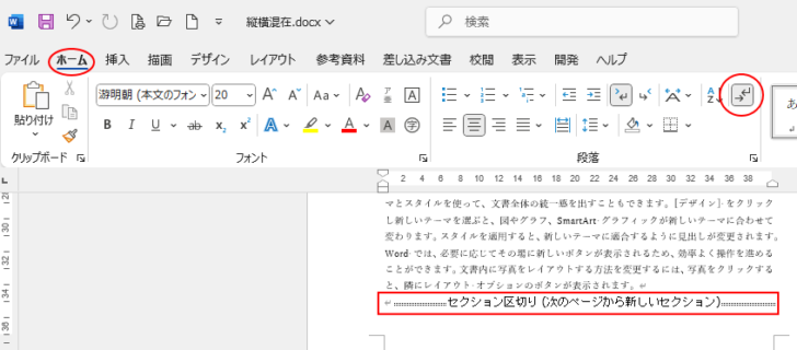 ［編集記号の表示/非表示］をオンにしてセクション区切りを挿入した文書