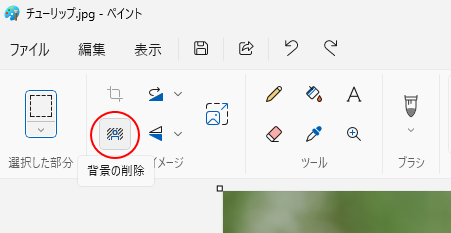 ［イメージ］グループにある［背景の削除］