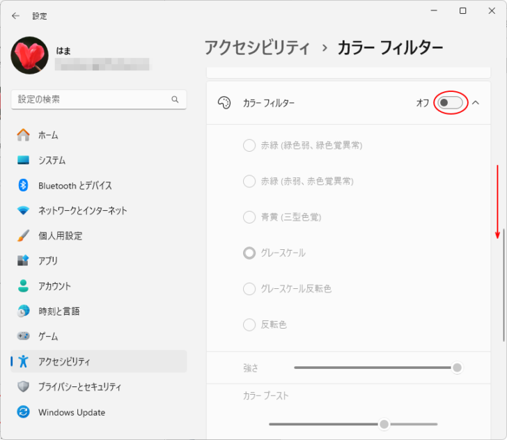 Windows設定［アクセシビリティ］-［カラーフィルター］-の設定