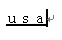 ［F9］キーですべて全角の小文字に変換された文字［ｕｓａ］