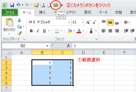 範囲選択後、クイックアクセスツールバーの［カメラ］をクリック