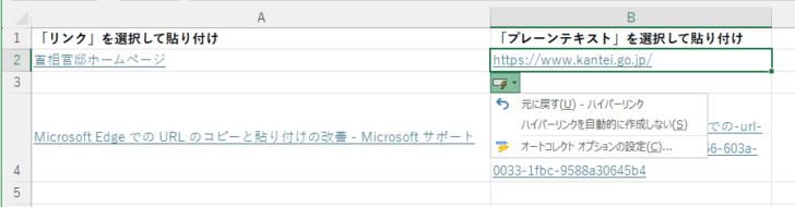 Excelの［オートコレクトのオプション］