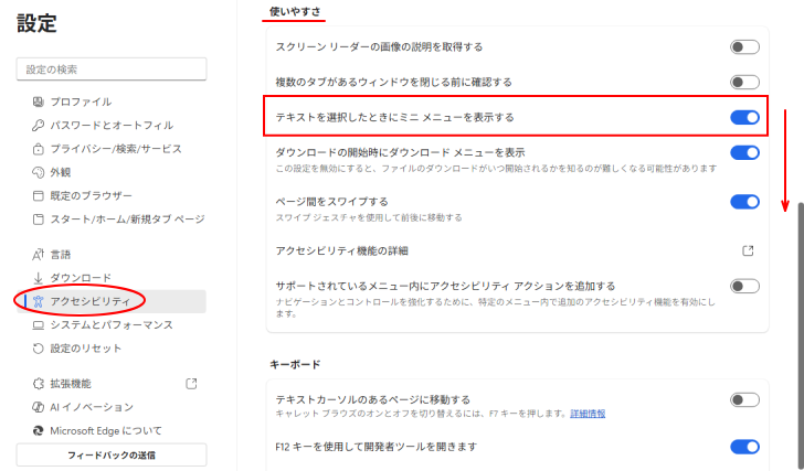 ［アクセシビリティ］の［テキストを選択したときにミニ メニューを表示する］
