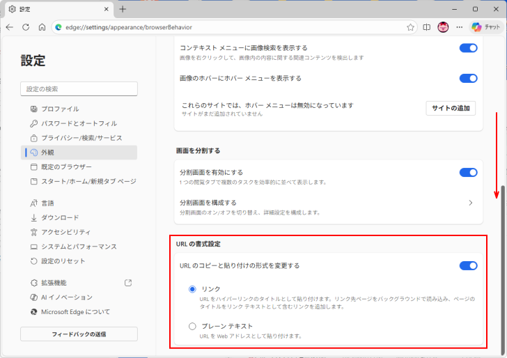［外観/ブラウザーのビヘイビアーと機能］の［URLの書式設定］