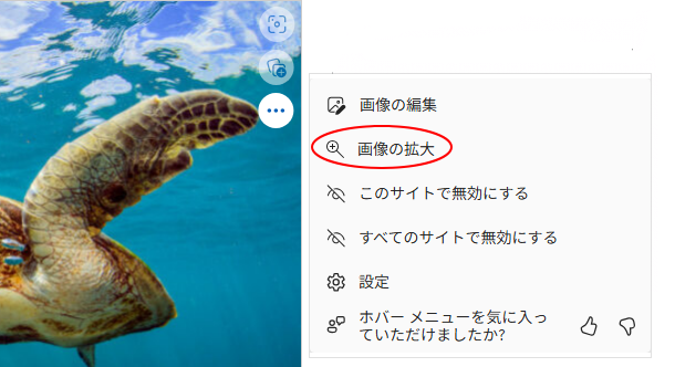 ［設定］をクリックした時のメニュー［画像の拡大］