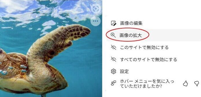 ［設定］をクリックした時のメニュー［画像の拡大］