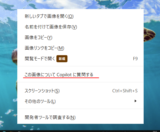 設定の［コンテキストメニューに画像検索を表示する］をオフにした時のショートカットメニュー