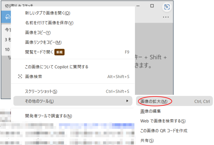 画像で右クリック-［画像の拡大］