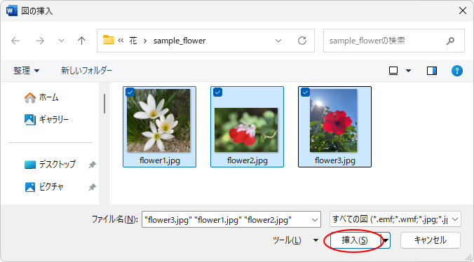 ［図の挿入］ダイアログボックス