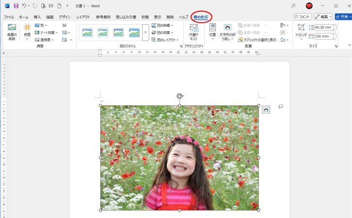 ［図の形式］タブ