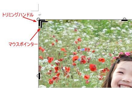 左上のトリミングハンドルにマウスポインターを合わせた時