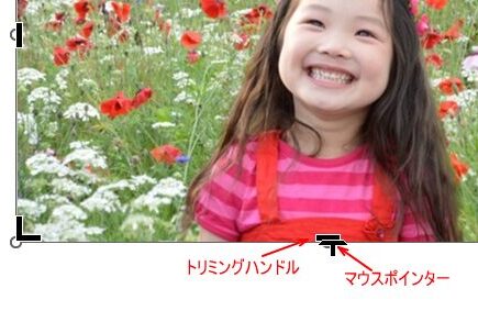 画像下中央のトリミングハンドルにマウスポインターを合わせた時