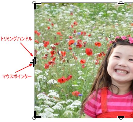 左中央のトリミングハンドルにマウスポインターを合わせた時