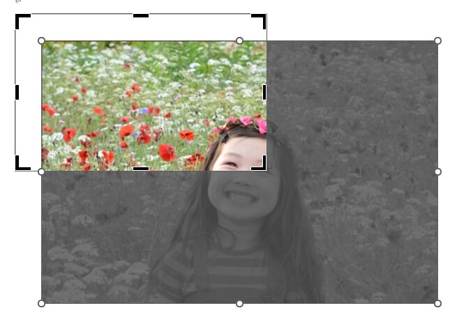 トリミング枠が画像がはみ出した