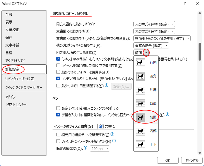 ［Wordのオプション］ダイアログボックスの［詳細設定］の［図を挿入/貼り付ける形式］