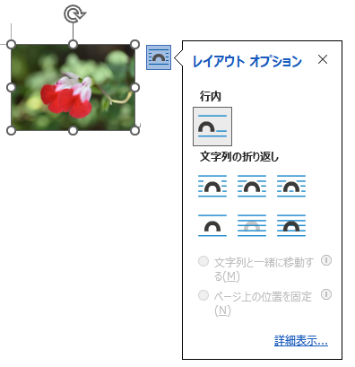 画像選択時の［レイアウトオプション］