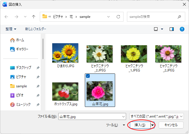 ［図の挿入］ダイアログボックス