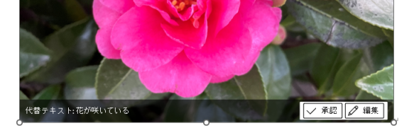 画像挿入時に表示される代替テキスト