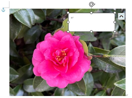 画像の上にテキストボックスをドラッグで挿入