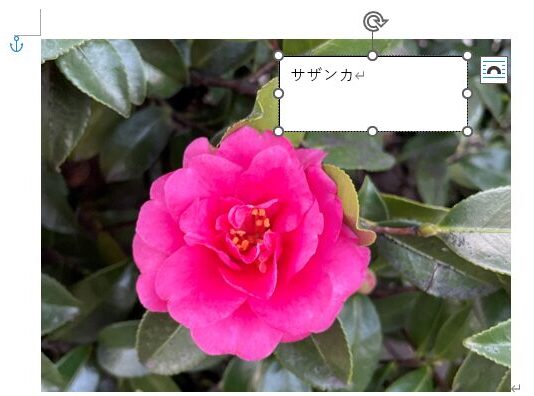 テキストボックスに文字を入力