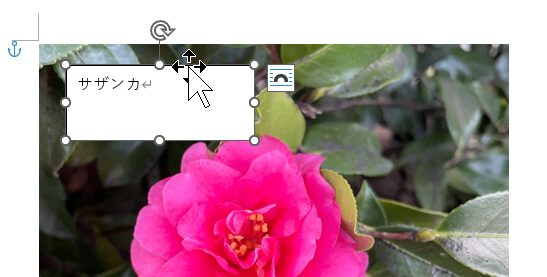 テキストボックスをドラッグで移動