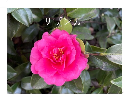 テキストボックスの文字色とフォントサイズを変更