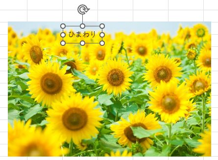 Excelでテキストボックスをクリックで挿入
