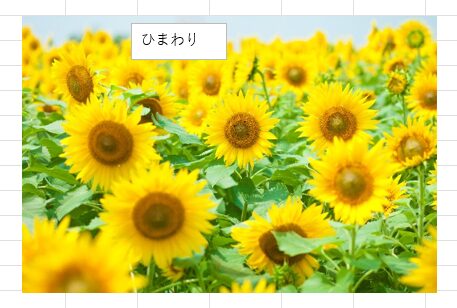 Excelでテキストボックスをドラッグで挿入