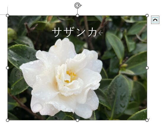 画像のみを変更した結果