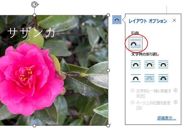 レイアウトオプションの［行内］